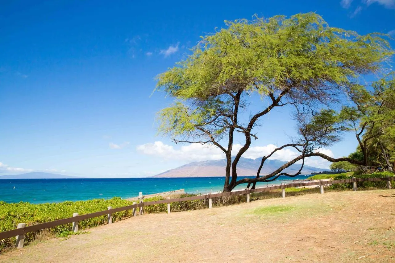 Vila Hale Kamaole 315 Wailea  Wailea (Maui)